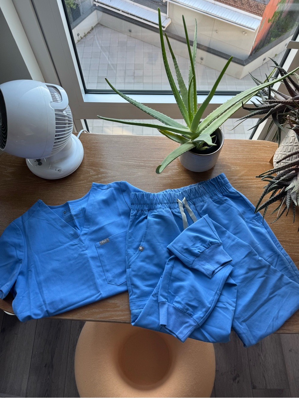 Figs top and joggers set